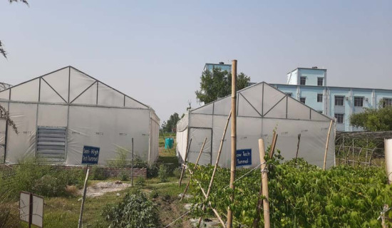 सांसदको विशेषाधिकार रक्षा