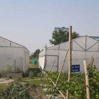 नेपालगन्ज उपमहानगरपालिकाद्वारा एक अर्ब ६४ करोडको बजेट प्रस्तुत