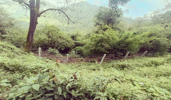 आठ सय पैँसट्ठी रोपनी सरकारी जग्गा अतिक्रमण