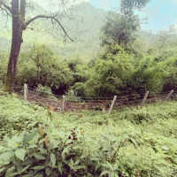 मानव–वन्यजन्तु द्वन्द्व न्यूनीकरण योजना