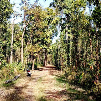 विद्युत् चुहावट हुँदा बुढानीलकण्ठमा आगलागी