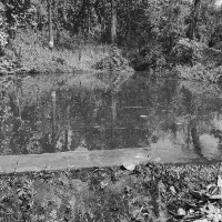 विद्युत् चुहावट हुँदा बुढानीलकण्ठमा आगलागी