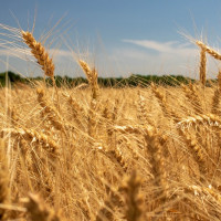 इरान प्रस्तावमा आशङ्का, युद्ध अन्त्य अनिश्चित