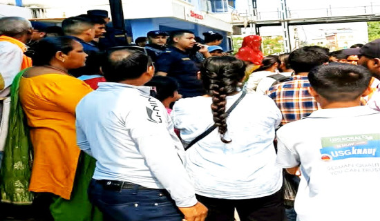 कालिमाटीको ३० हजार किलो गोलभेडा  सडकमा फालियो