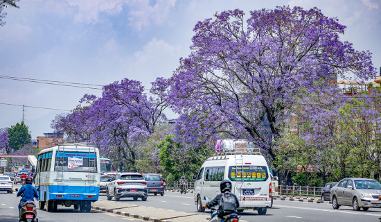 एसईईको नतिजा : पहिले शून्य पुनर्योगमा ८०