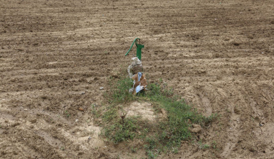 मधेशमा खडेरीसँगै खानेपानीकाे हाहाकार