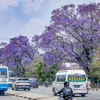 औँला ठड्याएर पार्टीमा रूपान्तरण सम्भव छैन : कार्यवाहक सभापति खड्का