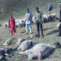 पहिरोले पुरिएर एक जनाको मृत्यु, दुई घाइते