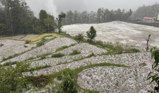 फेवातालको जलाधार जोगाउन कार्ययोजना