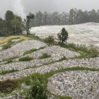 प्रहरीको साइबर ब्युरो रहेको भवन काठमाडौँ महानगरलाई दिन गृह मन्त्रालयले दियो सहमति