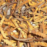 ६३५ घरेलु उद्योग दर्ता