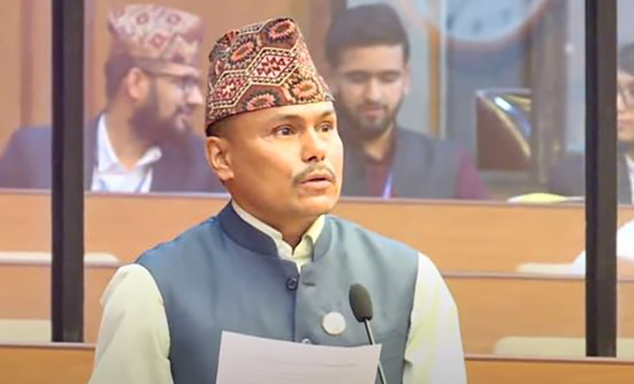 कांग्रेसको राष्ट्रियसभाको सचेतकमा परियार