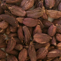 सिराहा–४ मा पाँच पूर्वमन्त्रीलाई रास्वपाको चुनौती