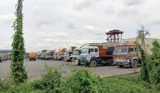 मुलुकको समृद्धि उद्यमशील युवाबाट मात्र सम्भव : वरिष्ठ उपाध्यक्ष ढकाल