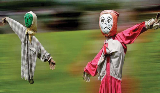 बुख्याचा उत्कृष्ट