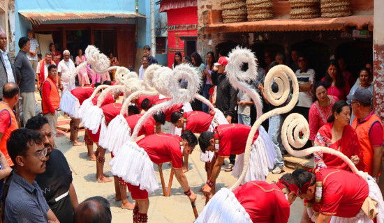 एक्काइस महिना देखाएर समापन गरियोे हनुमान नाच
