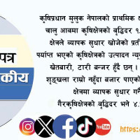 बागलुङमा झोलुङ्गे पुल संकटः सयभन्दा बढी पुल प्रयोगविहीन