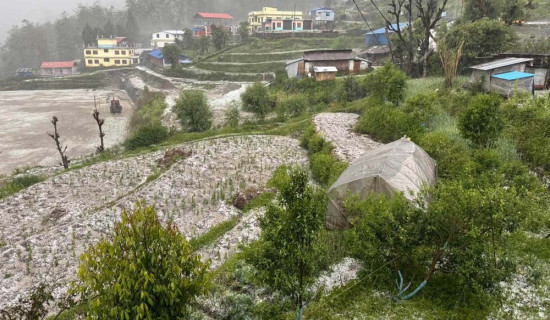 अन्नपूर्णको शिखमा पर्‍यो असिना
