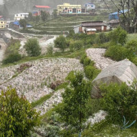 छ महिनामा दुई हजार छ सय पर्यटकले गरे शुक्लाफाँटा भ्रमण