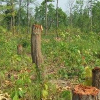 बालबालिकालाई भिटामिन ‘ए’ आज पनि खुवाइँदै