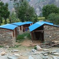 प्रमुख प्रशासकीय अधिकृत एक पटक स्थानीय तहमा जानैपर्ने