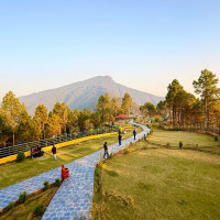 तम्घासमा गाउँका कुकुर पसेपछि व्यवस्थापनमा थप चुनौती