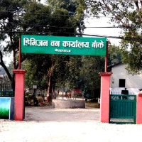 बेलिब्रिज निकाल्ने तयारी