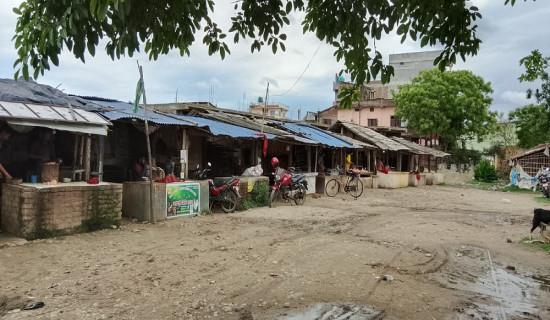 सुनसरीमा बर्डफ्लूबाट ३० करोडभन्दा बढीको क्षति