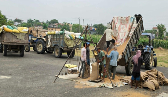 निर्वाचन प्रहरी : तीन पटक आवेदन माग, १९९ महिला अझै अपुग