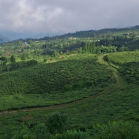 किसानलाई मिनी टेलर मेसिन प्रदान