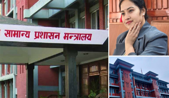 हेटौँडामा बस दुर्घटना हुँदा ३७ जना घाइते