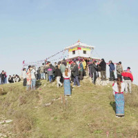 नसर्ने रोग चुनौती बन्दै