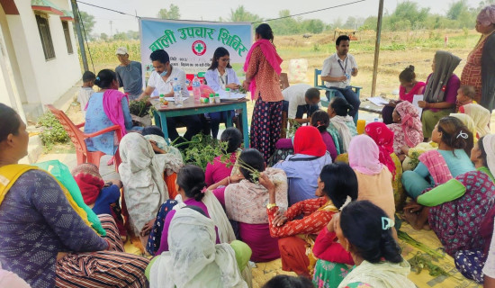 किसानलाई निःशुल्क बाली उपचार शिविर