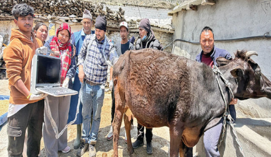 कैदीबन्दीको चाप बढेपछि ८१ जनालाई स्थानान्तरण