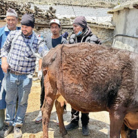 सरकारको प्रवक्ताको जिम्मेवारी गृहमन्त्री अर्याललाई