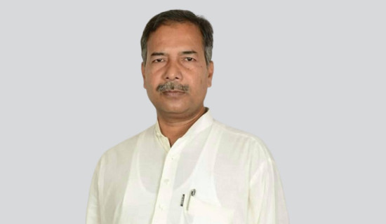 हिमाली गोठमा अल्ट्रासाउन्ड सेवा