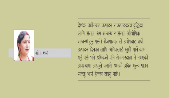 प्रगतिशील संसदीय व्यवस्थाको खोजी