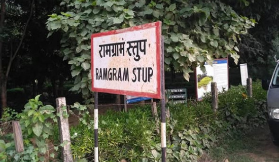 कंगारु एजुकेशन फाउण्डेशनले मनायो २० औं 'कंगारु डे'
