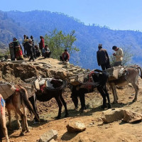१०० वर्ष अघिको गोर्खापत्र