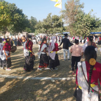 सहर सुन्दर बनाउन काठमाडौँ महानगरले सडक किनारामा गमलामा फूल रोप्दै