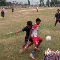 सेनाको गोली लागि गैँडा मर्‍यो