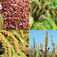खेलकुद क्षेत्रको विकास प्राथमिकतामा