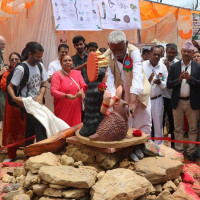 केही स्थानमा मध्यम वर्षा तथा हिमपातको सम्भावना