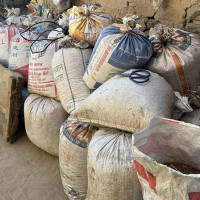 खेलकुद क्षेत्रको विकास प्राथमिकतामा