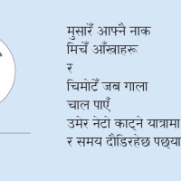 निर्माण सामग्री अभाव