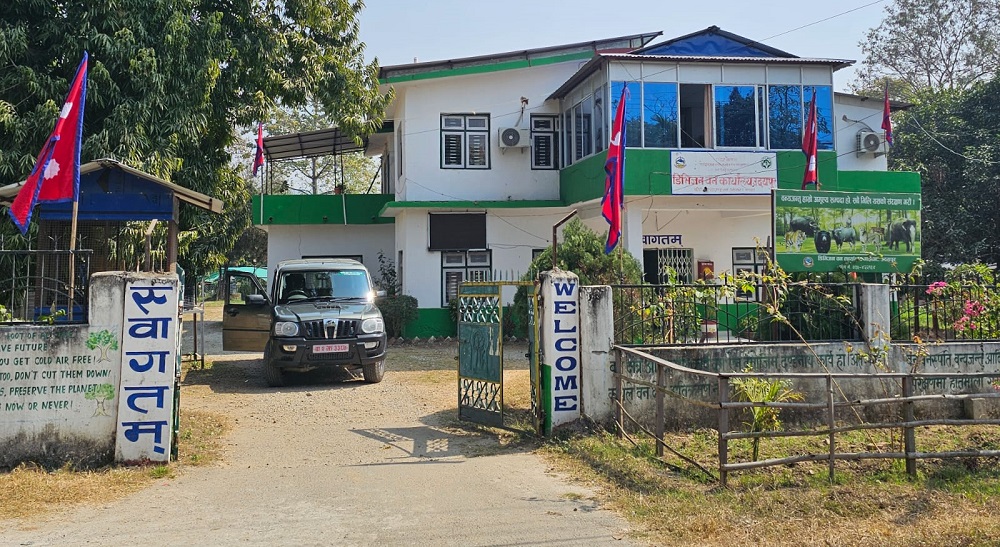 उदयपुरमा खयर तस्करीको आरोप, अख्तियारले अनुसन्धान गर्दै