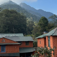 आलुमा डढुवाको प्रकोप