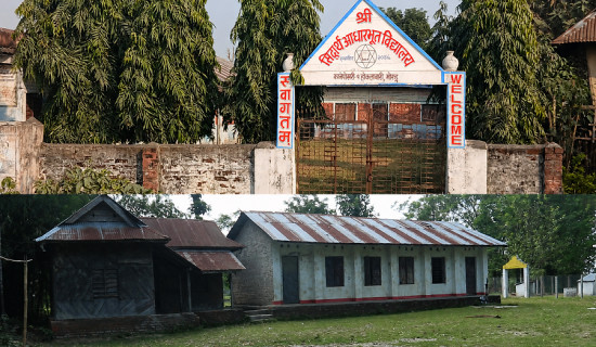 आलुमा डढुवाको प्रकोप