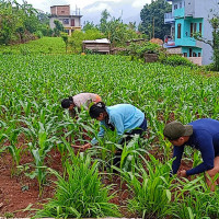 बैतडीमा सरकारी तथा सार्वजनिक जग्गा अतिक्रमण हटाउने तयारी तीव्र