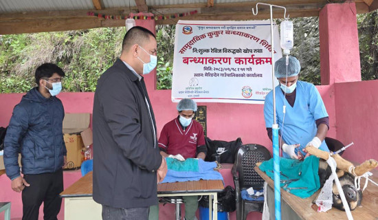 ताप्लेजुङमा बर्सेनि बढ्दै आत्महत्याका घटना